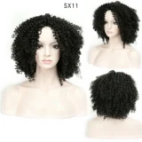 Afro kinky Curly wigs silk black wig small curly hair - Image 4