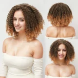 Afro kinky Curly wigs small curly medium length wig - Image 1