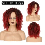 Afro kinky Curly wigs silk black wig small curly hair - Image 2