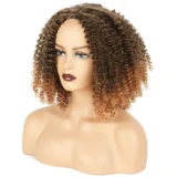 Afro kinky Curly wigs small curly medium length wig - Image 2